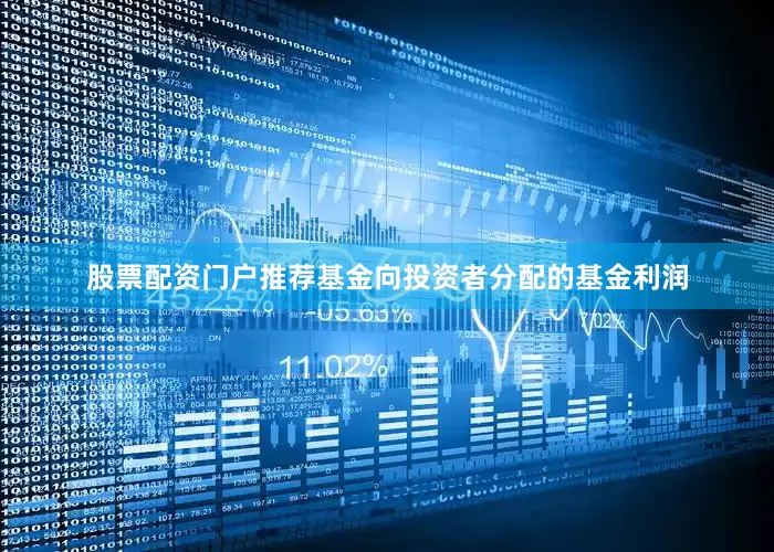 股票配资门户推荐基金向投资者分配的基金利润